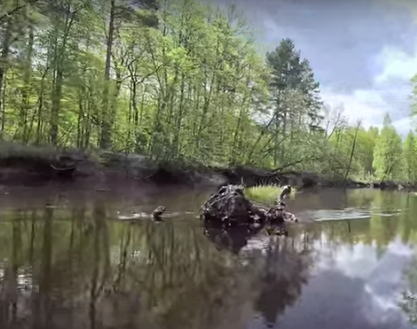 Сплав и рыбалка по реке Серёжа от с. Пустынь до д. Левино (длина 125 км) - фото