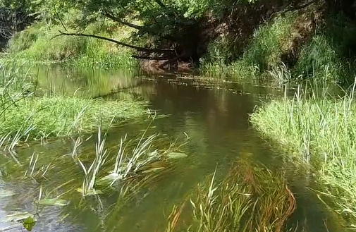 Сплав и рыбалка по реке Серёжа от с. Пустынь до д. Левино (длина 125 км) - фото