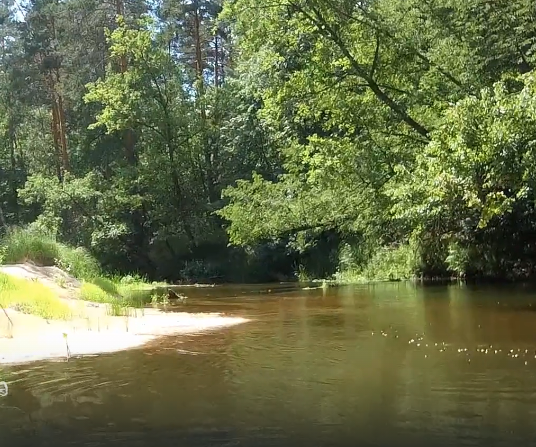 Сплав и рыбалка по реке Серёжа от с. Пустынь до д. Левино (длина 125 км) - фото