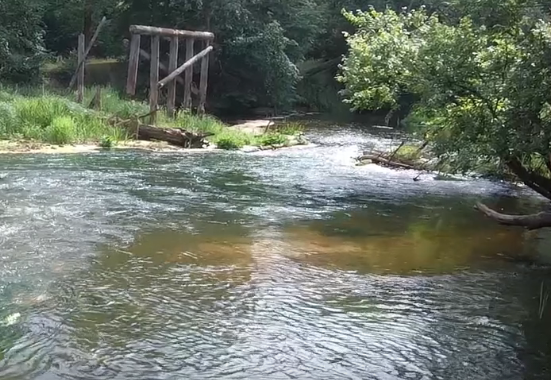 Сплав и рыбалка по реке Серёжа от с. Пустынь до д. Левино (длина 125 км) - фото