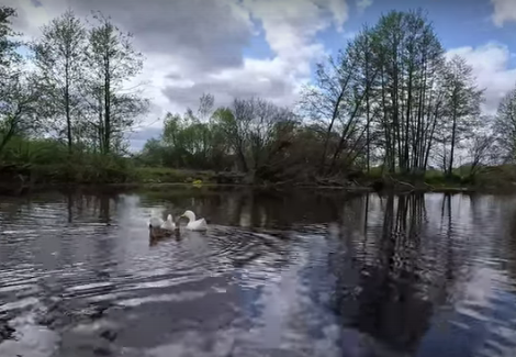 Сплав и рыбалка по реке Серёжа от с. Пустынь до д. Левино (длина 125 км) - фото