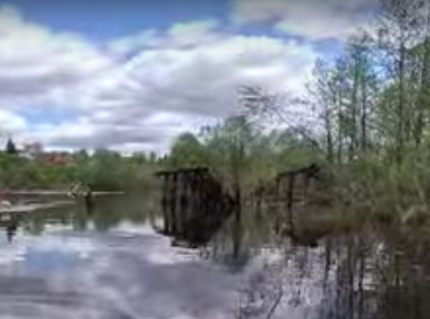 Сплав и рыбалка по реке Серёжа от с. Пустынь до д. Левино (длина 125 км) - фото