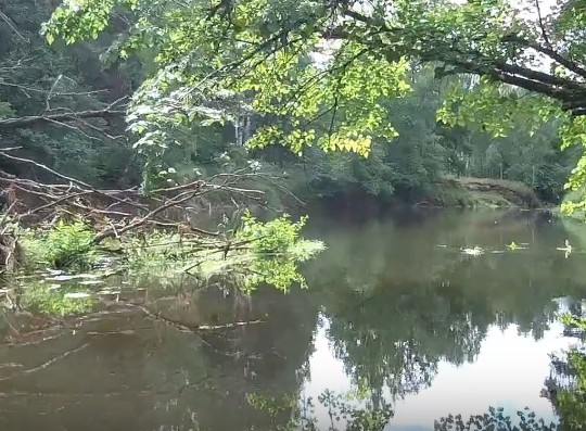 Сплав и рыбалка по реке Серёжа от с. Пустынь до д. Левино (длина 125 км) - фото