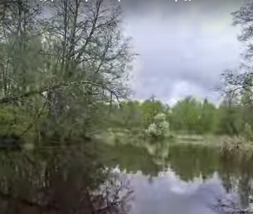 Сплав и рыбалка по реке Серёжа от с. Пустынь до д. Левино (длина 125 км) - фото