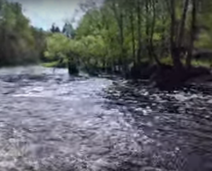 Сплав и рыбалка по реке Серёжа от с. Пустынь до д. Левино (длина 125 км) - фото