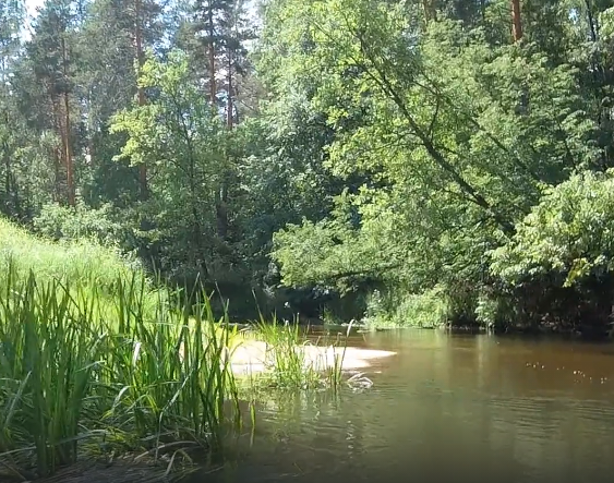 Сплав и рыбалка по реке Серёжа от с. Пустынь до д. Левино (длина 125 км) - фото