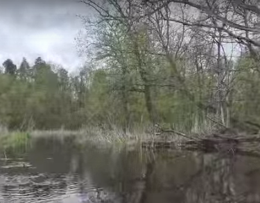 Сплав и рыбалка по реке Серёжа от с. Пустынь до д. Левино (длина 125 км) - фото