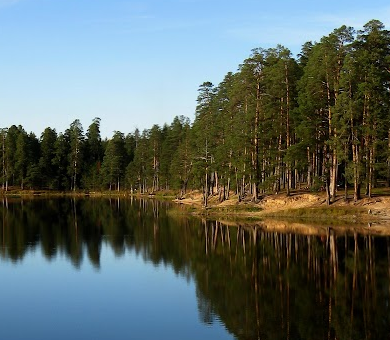 Сплав и рыбалка по реке Серёжа от с. Пустынь до д. Левино (длина 125 км) - фото