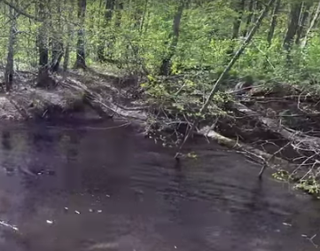 Сплав и рыбалка по реке Серёжа от с. Пустынь до д. Левино (длина 125 км) - фото