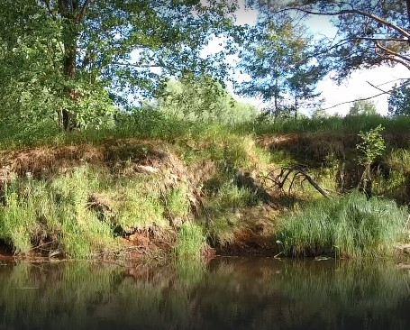 Сплав и рыбалка по реке Серёжа от с. Пустынь до д. Левино (длина 125 км) - фото