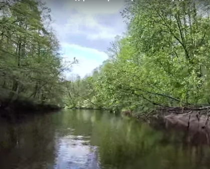 Сплав и рыбалка по реке Серёжа от с. Пустынь до д. Левино (длина 125 км) - фото