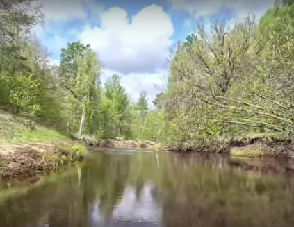 Сплав и рыбалка по реке Серёжа от с. Пустынь до д. Левино (длина 125 км) - фото