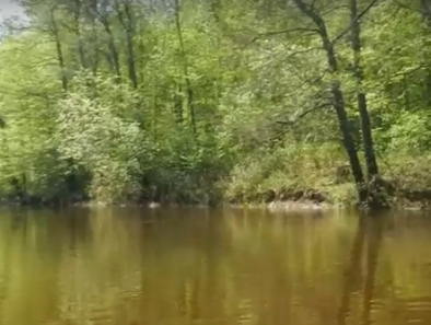 Сплав и рыбалка на реке Тёша от г. Арзамас до д. Покров (длина маршрута 212 км) - фото