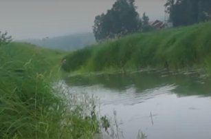 Сплав и рыбалка на реке Тёша от г. Арзамас до д. Покров (длина маршрута 212 км) - фото