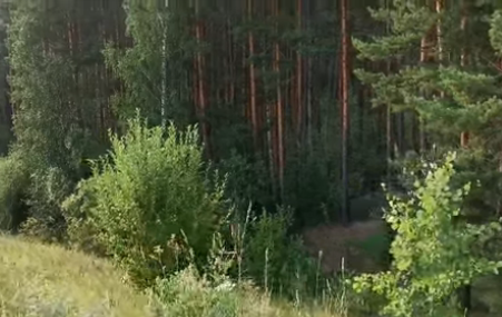 Сплав и рыбалка на реке Тёша от г. Арзамас до д. Покров (длина маршрута 212 км) - фото