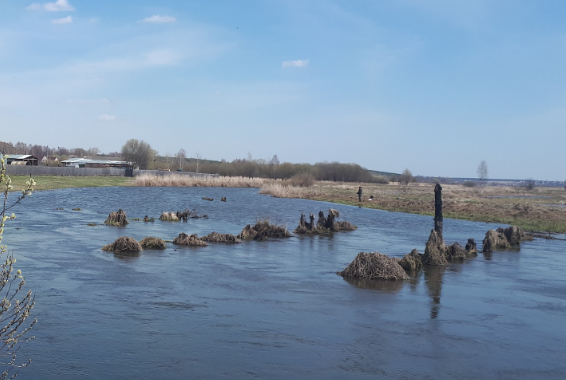 Сплав и рыбалка на реке Тёша от г. Арзамас до д. Покров (длина маршрута 212 км) - фото