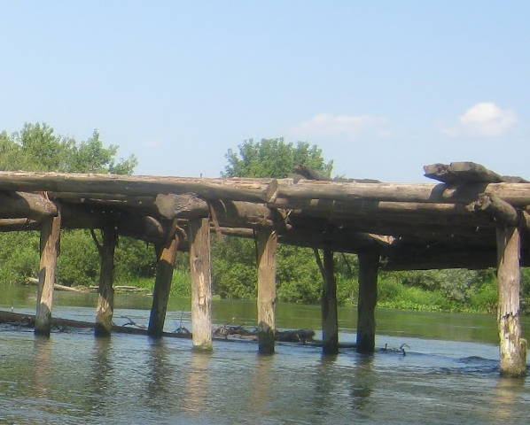 Сплав и рыбалка на реке Тёша от г. Арзамас до д. Покров (длина маршрута 212 км) - фото