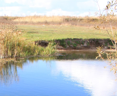Сплав и рыбалка на реке Тёша от г. Арзамас до д. Покров (длина маршрута 212 км) - фото