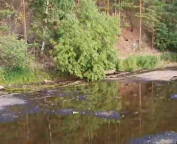 Сплав и рыбалка на реке Тёша от г. Арзамас до д. Покров (длина маршрута 212 км) - фото