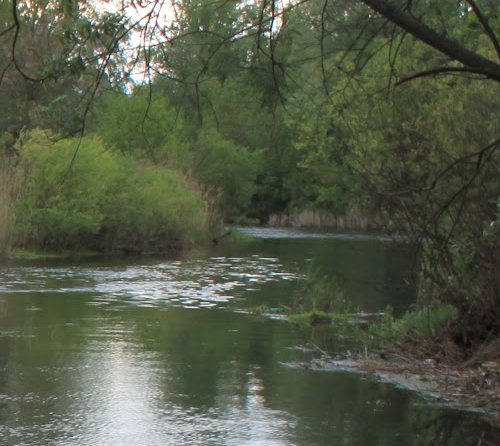Сплав и рыбалка на реке Тёша от г. Арзамас до д. Покров (длина маршрута 212 км) - фото