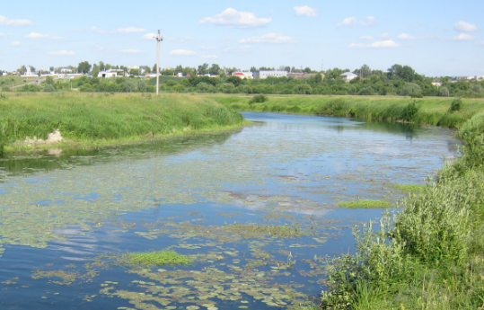 Сплав и рыбалка на реке Тёша от г. Арзамас до д. Покров (длина маршрута 212 км) - фото