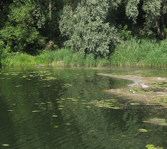 Сплав и рыбалка на реке Тёша от г. Арзамас до д. Покров (длина маршрута 212 км) - фото