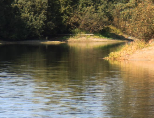 Сплав и рыбалка на реке Тёша от г. Арзамас до д. Покров (длина маршрута 212 км) - фото