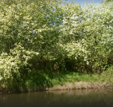 Сплав и рыбалка на реке Тёша от г. Арзамас до д. Покров (длина маршрута 212 км) - фото