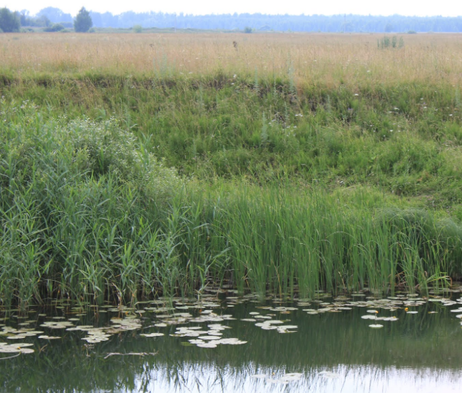 Сплав и рыбалка на реке Тёша от г. Арзамас до д. Покров (длина маршрута 212 км) - фото