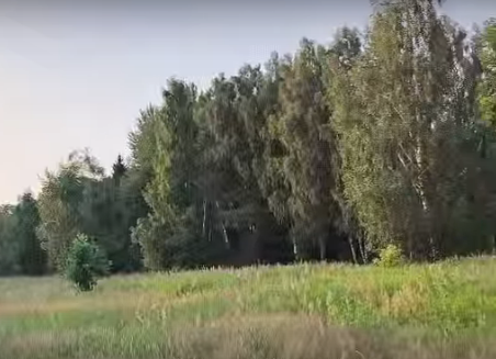 Сплав и рыбалка на р. Узола от п. Ковернино до д. Чередково (длина 122 км) - фото