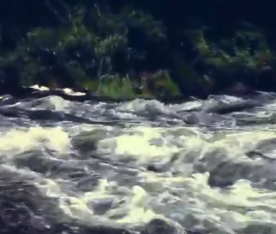 Сплав и рыбалка на р. Узола от п. Ковернино до д. Чередково (длина 122 км) - фото