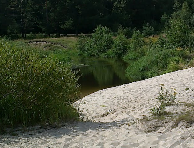 Сплав и рыбалка на р. Узола от п. Ковернино до д. Чередково (длина 122 км) - фото