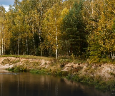 Сплав и рыбалка на р. Узола от п. Ковернино до д. Чередково (длина 122 км) - фото