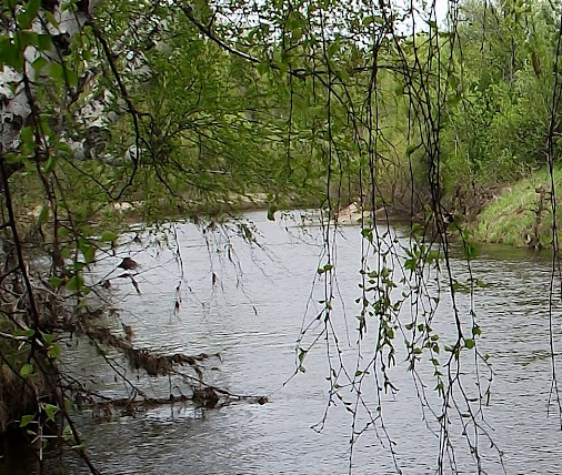 Сплав и рыбалка на р. Узола от п. Ковернино до д. Чередково (длина 122 км) - фото