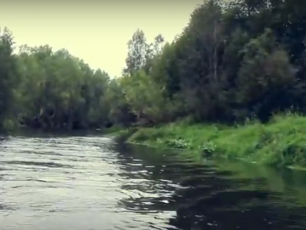 Сплав и рыбалка на р. Узола от п. Ковернино до д. Чередково (длина 122 км) - фото