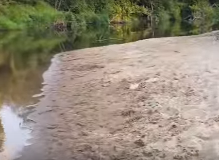 Сплав и рыбалка на р. Узола от п. Ковернино до д. Чередково (длина 122 км) - фото