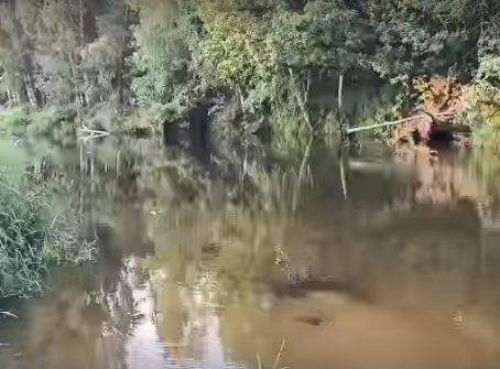 Сплав и рыбалка на р. Узола от п. Ковернино до д. Чередково (длина 122 км) - фото