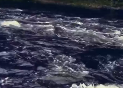 Сплав и рыбалка на р. Узола от п. Ковернино до д. Чередково (длина 122 км) - фото