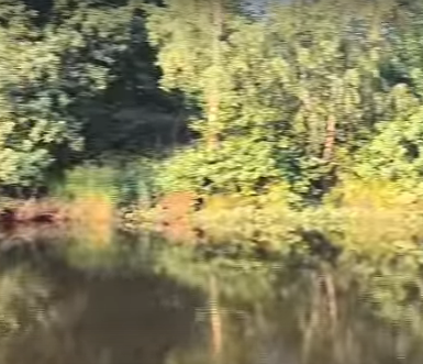 Сплав и рыбалка на р. Узола от п. Ковернино до д. Чередково (длина 122 км) - фото