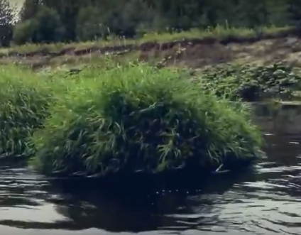 Сплав и рыбалка на р. Узола от п. Ковернино до д. Чередково (длина 122 км) - фото