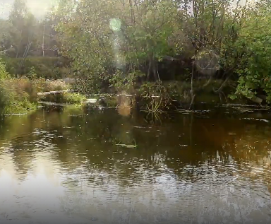 Сплав и рыбалка на р. Узола от п. Ковернино до д. Чередково (длина 122 км) - фото