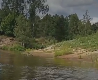 Сплав и рыбалка на р. Узола от п. Ковернино до д. Чередково (длина 122 км) - фото