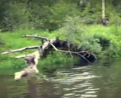 Сплав и рыбалка на р. Узола от п. Ковернино до д. Чередково (длина 122 км) - фото