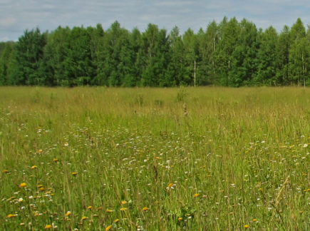Сплав и рыбалка на р. Узола от п. Ковернино до д. Чередково (длина 122 км) - фото