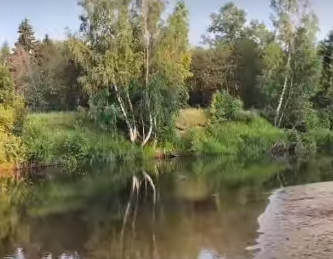 Сплав и рыбалка на р. Узола от п. Ковернино до д. Чередково (длина 122 км) - фото