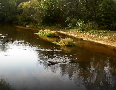 Сплав и рыбалка на р. Узола от п. Ковернино до д. Чередково (длина 122 км) - фото