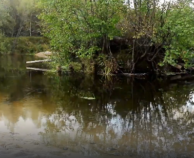Сплав и рыбалка на р. Узола от п. Ковернино до д. Чередково (длина 122 км) - фото