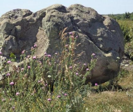 Сплав и рыбалка на р. Красивая Меча от Заречье до Троекурово (длина 121 км) - фото