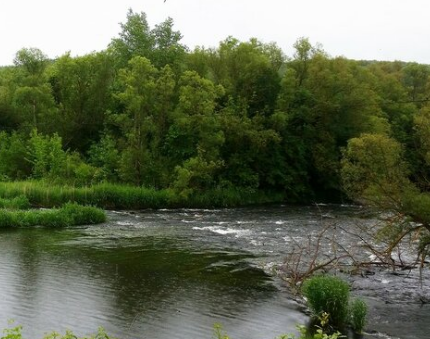 Сплав и рыбалка на р. Красивая Меча от Заречье до Троекурово (длина 121 км) - фото