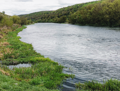 Сплав и рыбалка на р. Красивая Меча от Заречье до Троекурово (длина 121 км) - фото